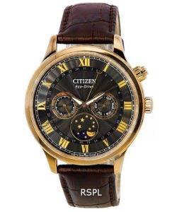 Citizen Eco-Drive Moon Phase Multifunction Black Dial AP1059-19E Men's Watch